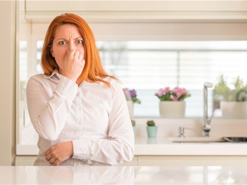 lingering smells gone