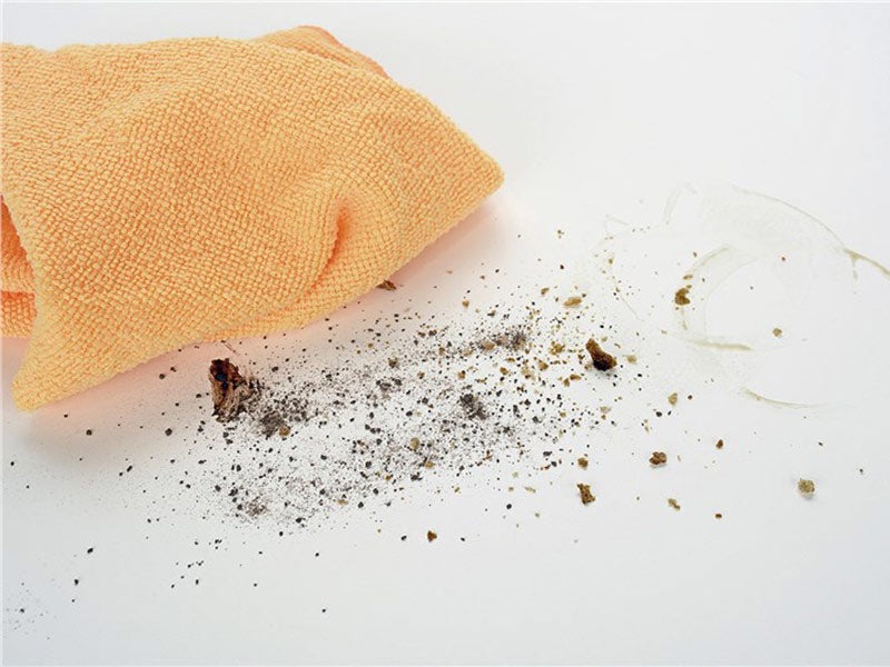 Napkin and dust